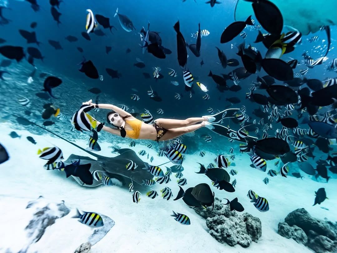 Snorkeling in coral reef
